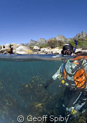 diving today in Cape Town, the most beautiful city in the... by Geoff Spiby 